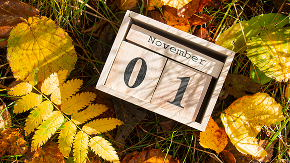 Parenting Center November 2025 schedule, at a glance